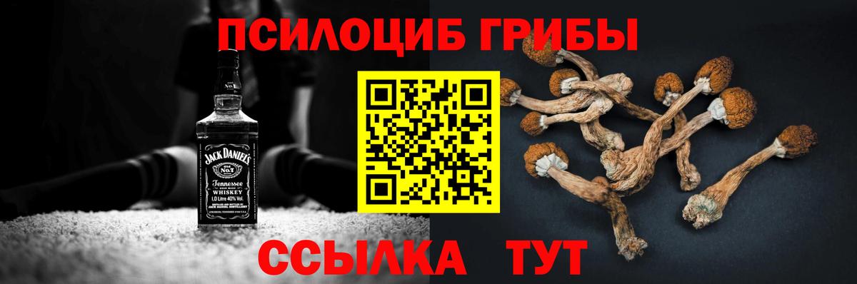Псилоцибиновые грибы прущие грибы  наркотики  Владимир  Галлюциногенные грибы мицелий  Вход с VPN 
